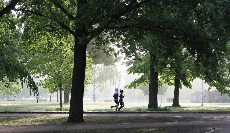 Running in nature